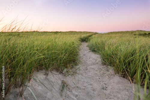 Path leading to Atlantic Ocean through sand dune grass during sunrise at Napatree Point, Watch Hill, Westerly, Rhode Island, USA photo