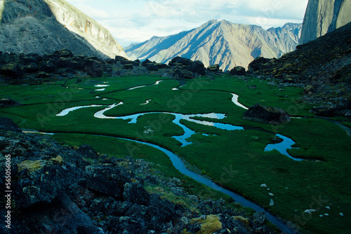 Braided stream in Fairy Meadows in the Cirque of the Unclimbables in the Northwest Territories in Canada. photo