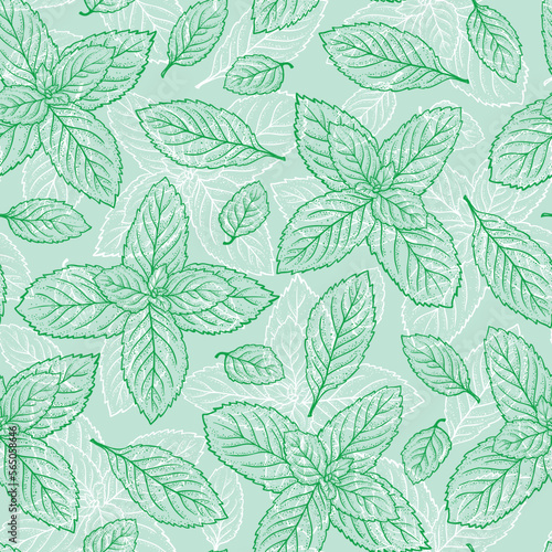 Vector Mint Leaf Seamless Pattern. Peppermint Green Tea. Fresh Mint leaves Background. Medicinal plants or Spicy Herbs Dot work illustration