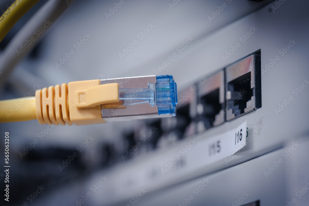 Netzwerkkabel IT Schrank Steckfeld Netzwerkkabel IT Schrank Steckfeld