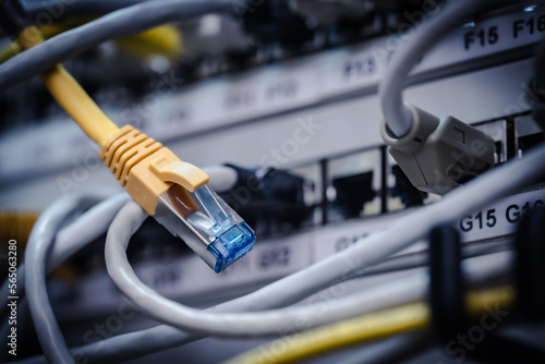 Netzwerkkabel IT Schrank Steckfeld