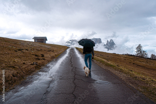 a person with an umbrella and dog in the mountains