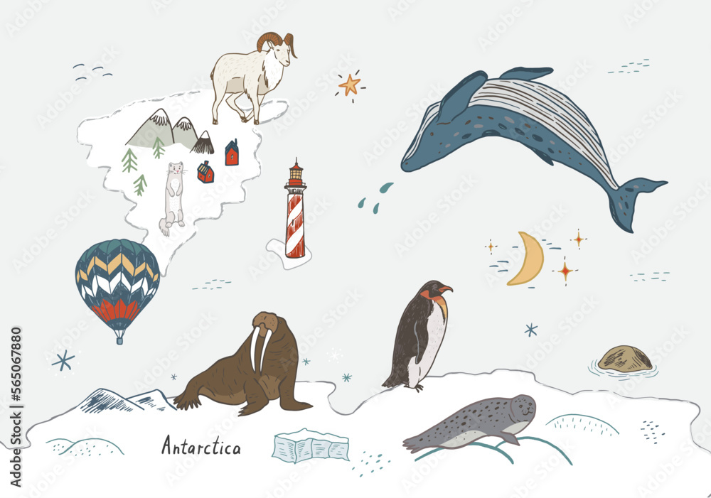 Antarctica Land Animals Clipart