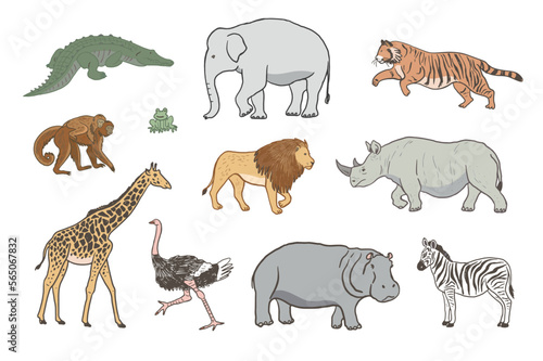 Fototapeta Naklejka Na Ścianę i Meble -  African animals vector illustrations set.