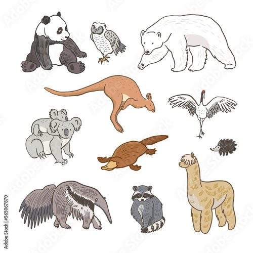 Animals vector illustrations set: panda bear, owl, bear, anteater, kangaroo, koala, platypus, raccoon, llama.