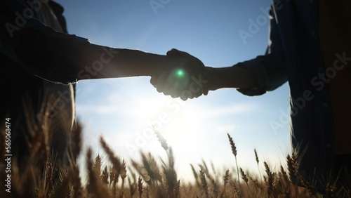 Obraz na plátně handshake farmer wheat