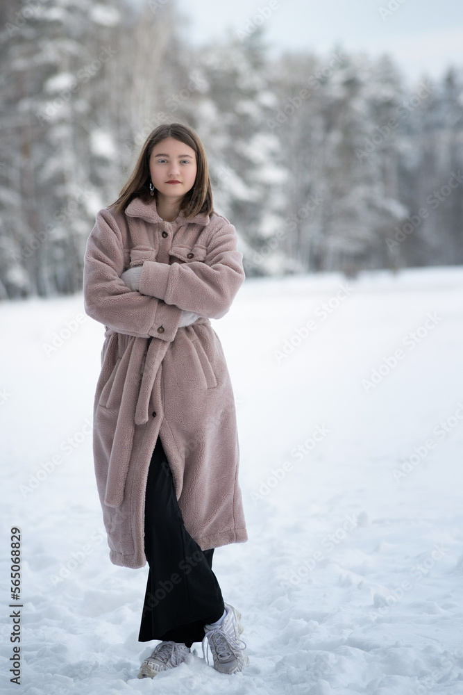 Portrait of a young beautiful long-haired girl in a gray fur coat made of artificial materials in a winter forest. Portrait of a young beautiful long-haired girl in a gray fur coat made of artificial materials in a winter forest.