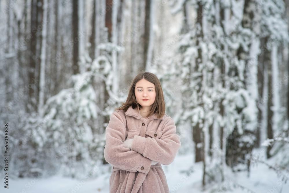 Portrait of a young beautiful long-haired girl in a gray fur coat made of artificial materials in a winter forest. Portrait of a young beautiful long-haired girl in a gray fur coat made of artificial materials in a winter forest.