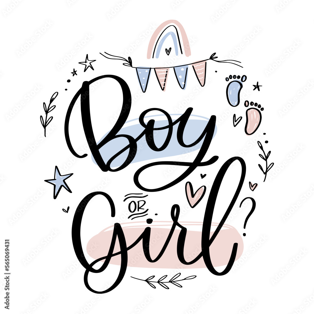 Boy or girl gender reweal party quote vector design with pink and blue