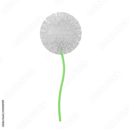 3D Dandelion Flower