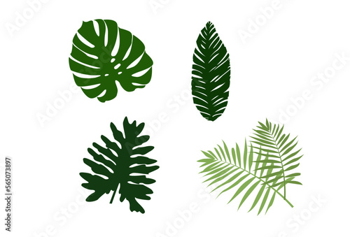set of green leaves Tropical leaf