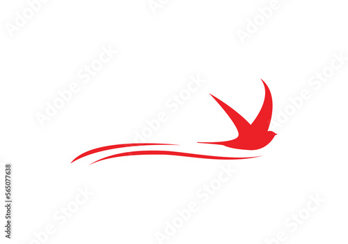 this is bird logo design