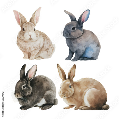 Watercolor illustration of a cute fluffy grey rabbit in a white background