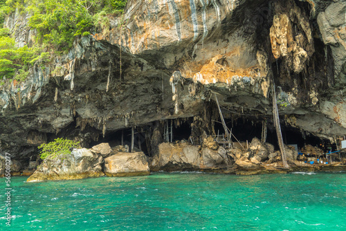 Bird's Nest Farm at Viking Cave in the emerald Andaman Sea of Krapi Province It is a cliff shelter in the southern corner of Koh Phi Phi Lay.