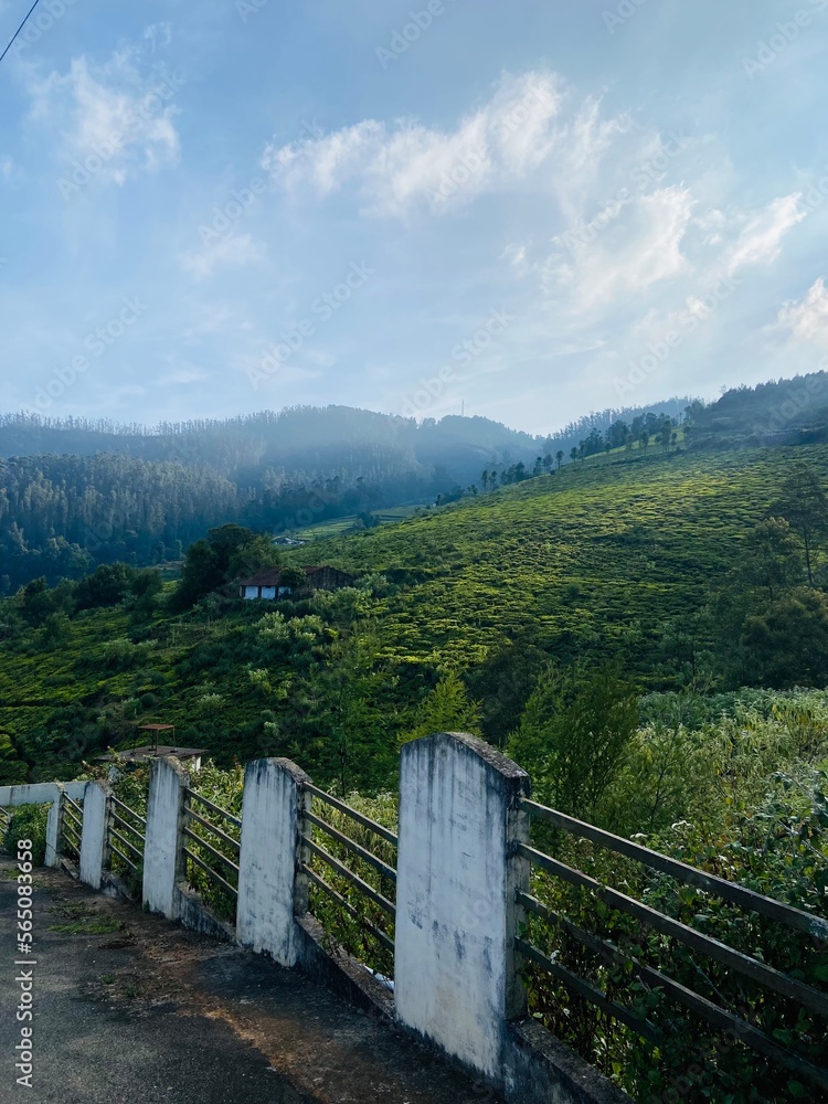 Nilgiri Hills Range overlooking Tea Plantations