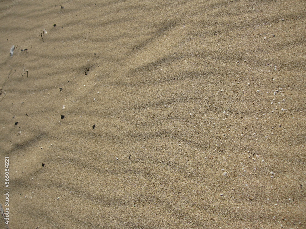 footprints in the sand
