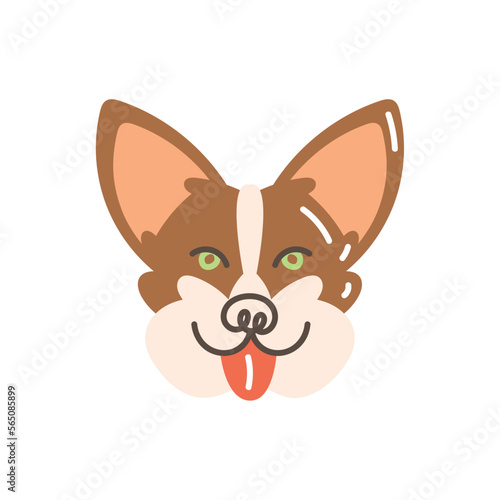 corgi dog head