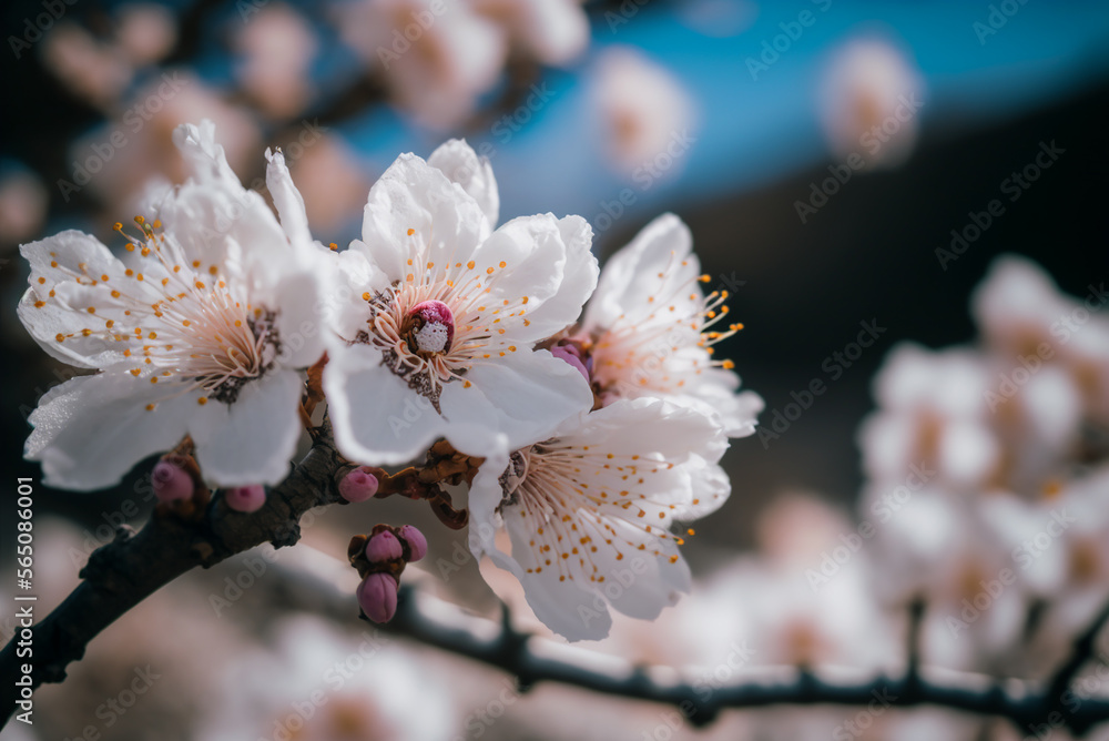 eautiful branch, mild fairy mist, pale blue plum blossom, plum blossom.generative ai. eautiful branch, mild fairy mist, pale blue plum blossom, plum blossom.generative ai.