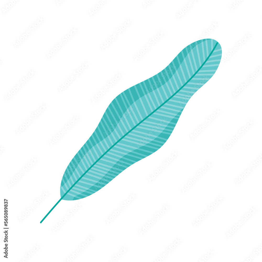 tropical leaf palm foliage tropical leaf palm foliage