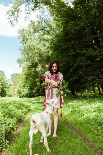 Woman dressed traditional fashionable ukrainian embroidery vyshyvanka dress shirt ethnic costume cloth feeding goat with leaves grass in the forest village. Ukrainian culture
