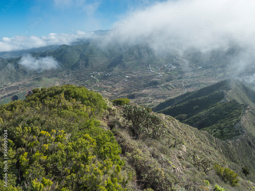 View from Baracan mountain. Green forest, hills and valley with terraced fields and village Las Portelas at Park rural de Teno, Tenerife, Canary Islands, Spain. sunny day, blue sky