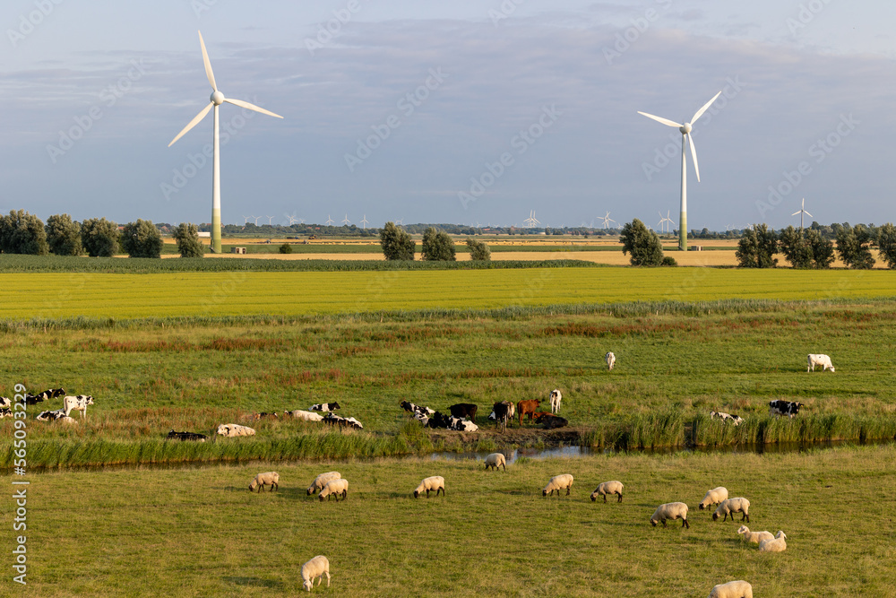 Fototapeta premium Windräder an der Nordseeküste