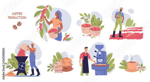 Set of stages of growing and producing coffee. Picking coffee cherries, drying, peeling, roasting coffee beans. Farmers work on a coffee plantation. Cartoon flat vector illustration. photo
