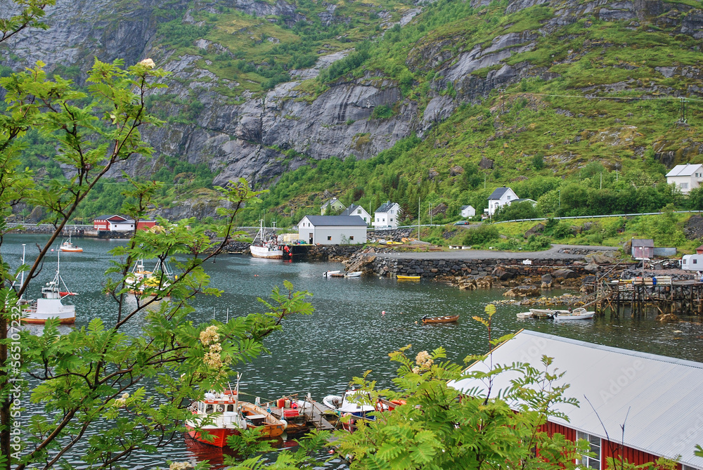 port of Moskenes is a typical little fishing town in Norway
