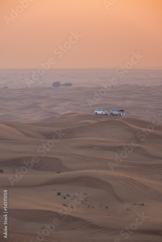 4 by 4 dune bashing is a popular sport of the Arabian desert © mglu.photo