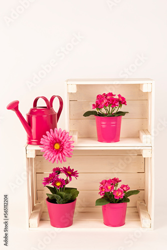 Cajas de madera con macetas rosas con flores y regadera.