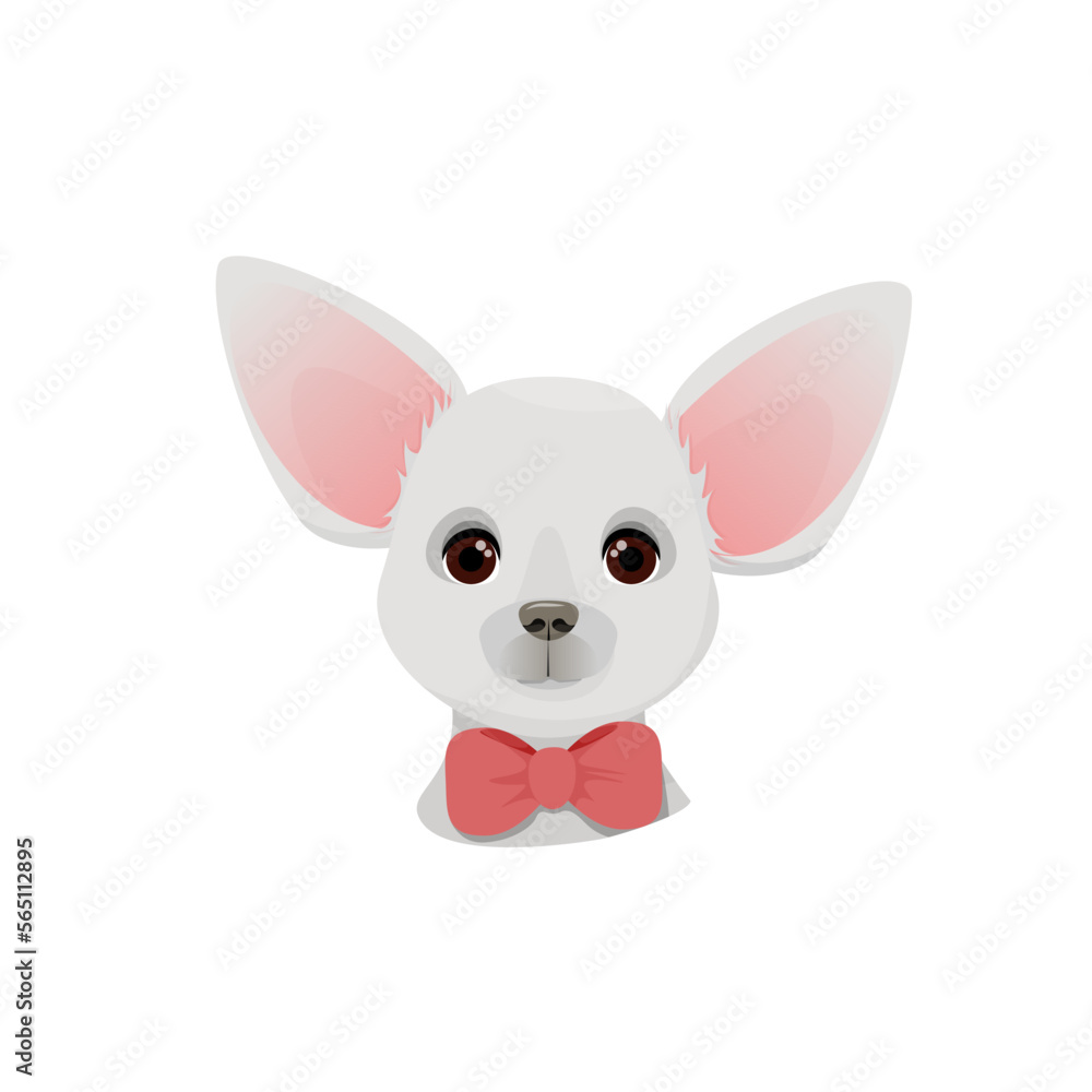 White head of a Chihuahua dog with a red bow around his neck White head of a Chihuahua dog with a red bow around his neck