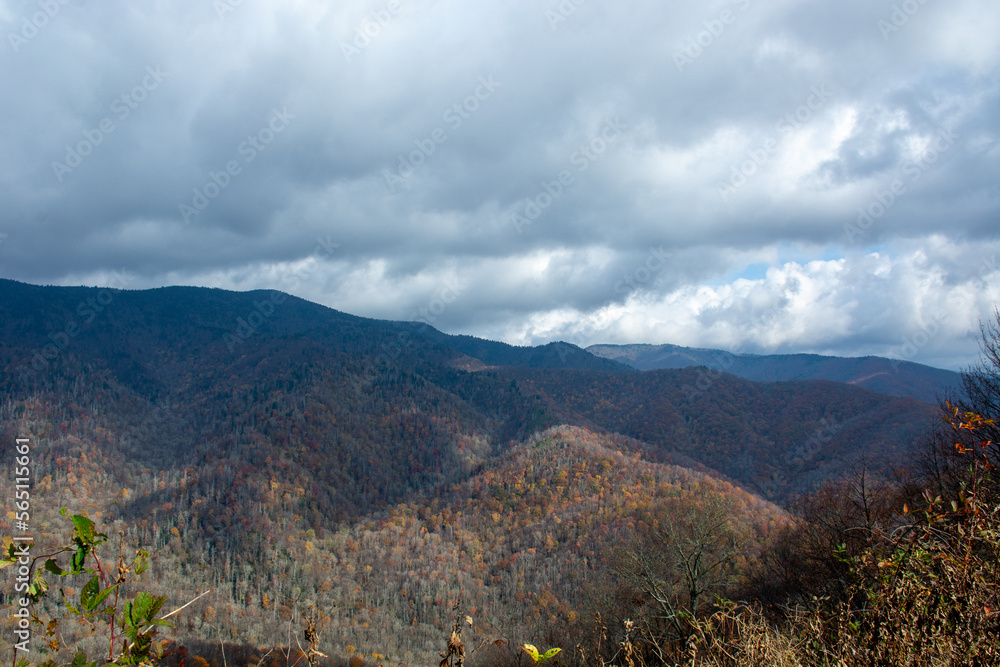 Cloudy autumn landscape in Great Smoky Mountains National Park