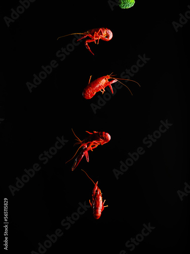 Red boiled crayfish on a black background. Minimalism. There are no people in the photo. There is free space to insert. Healthy seafood recipes. Organic food.