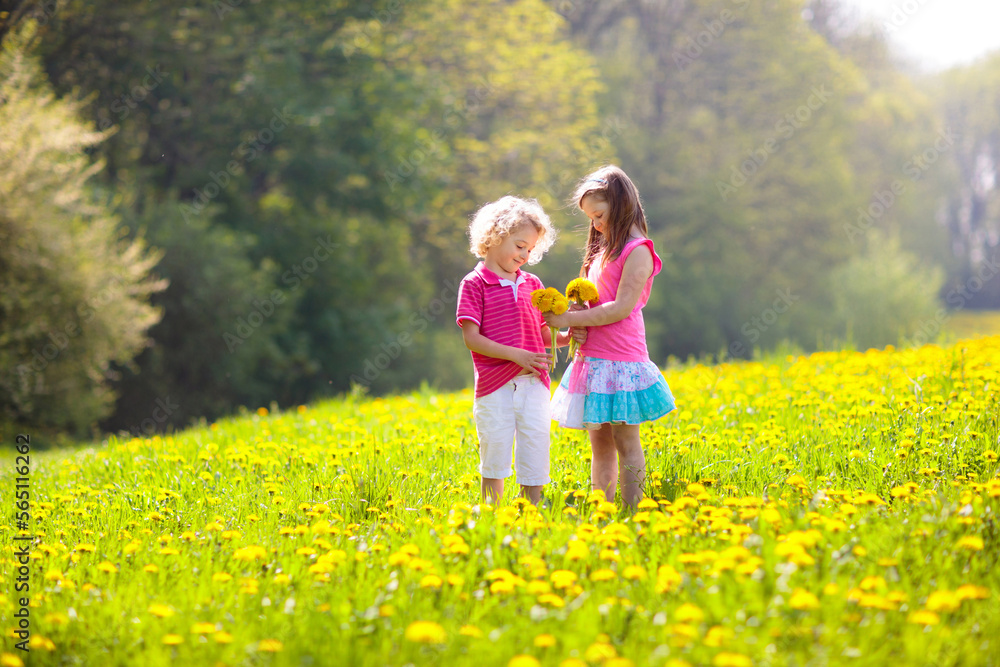Kids play. Child in dandelion field. Summer flower Kids play. Child in dandelion field. Summer flower
