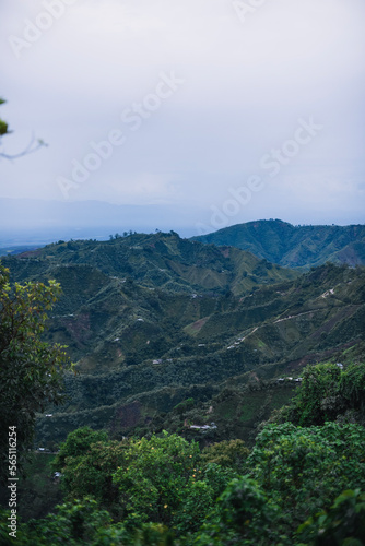 view from the mountain