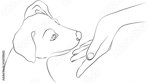 Woman's hand and muzzle of a puppy. Dog and human. Friendship between puppy and owner, line drawing. Tattoo