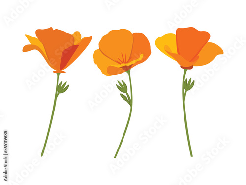 California State Flower Poppy Vector, Poppy Vector, Poppies Flower, Poppy Flower Vector, Orange Flower, Golden State Flower, Vector Illustration Background