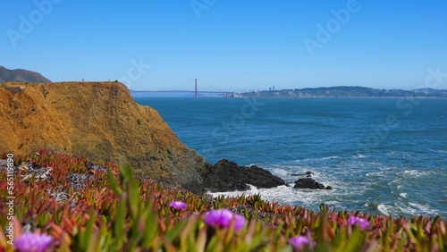 Fotografie Spring flowers along Northern California coast