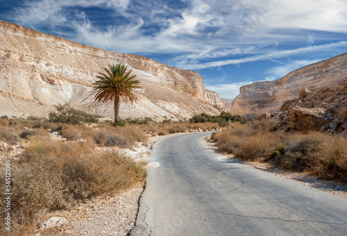 Road in stone desert of the Negev, Israel
