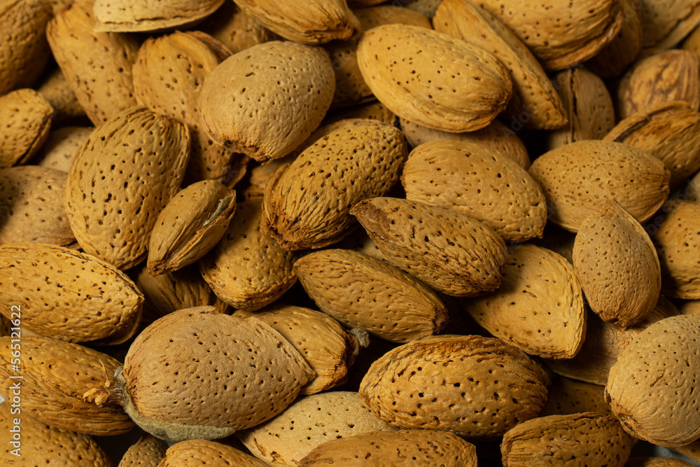 Whole almonds in shell closeup against white background. Whole almonds in shell closeup against white background.