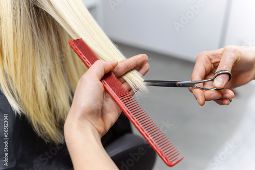 Beautiful brunette working as a hairdresser cuts the ends of the client's hair in a beauty salon