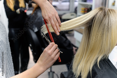 Beautiful brunette working as a hairdresser cuts the ends of the client's hair in a beauty salon