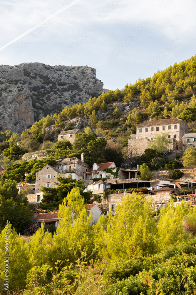 Small houses with vineyards, hidden by green pine trees under steep, sharp rocks of Vidova Gora, the highest mountain on Brac island, Croatia Small houses with vineyards, hidden by green pine trees under steep, sharp rocks of Vidova Gora, the highest mountain on Brac island, Croatia
