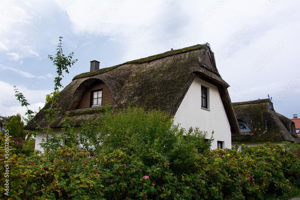 House with thatched roof and a green hedge House with thatched roof and a green hedge