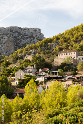 Small houses with vineyards, hidden by green pine trees under steep, sharp rocks of Vidova Gora, the highest mountain on Brac island, Croatia photo