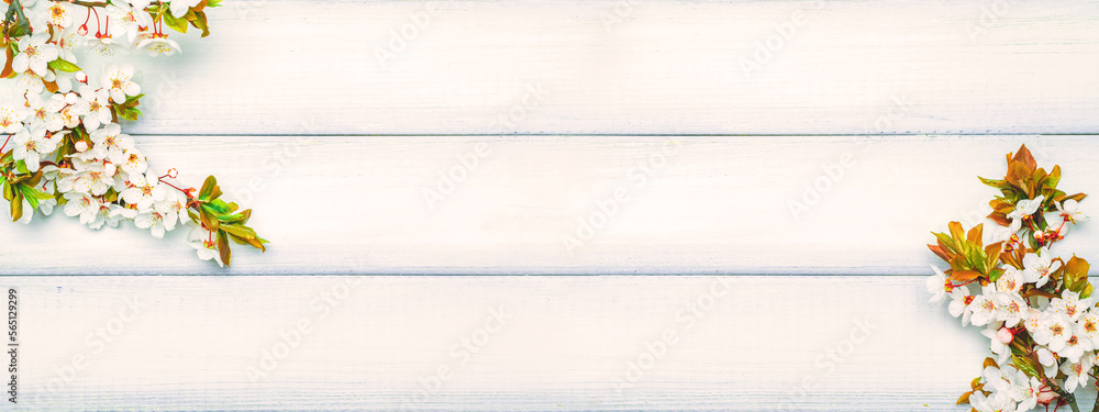 Spring blossom may flowers and April floral nature on wooden background. Branches of blossoming banner. For easter and spring greeting cards with copy space. Springtime. Spring blossom may flowers and April floral nature on wooden background. Branches of blossoming banner. For easter and spring greeting cards with copy space. Springtime.