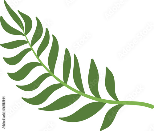 Palm leaf icon. Green jungle tree symbol