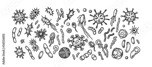 Set of viruses, bacteria and other microorganisms. Scientific vector illustration in sketch style