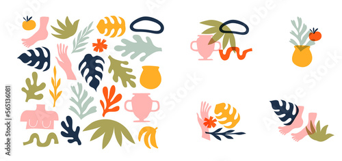 Big set of abstract organic nature shapes and exotic tropical decoration in trendy matisse inspired art style. Modern summer doodle icons on isolated white background with premade designs.	
