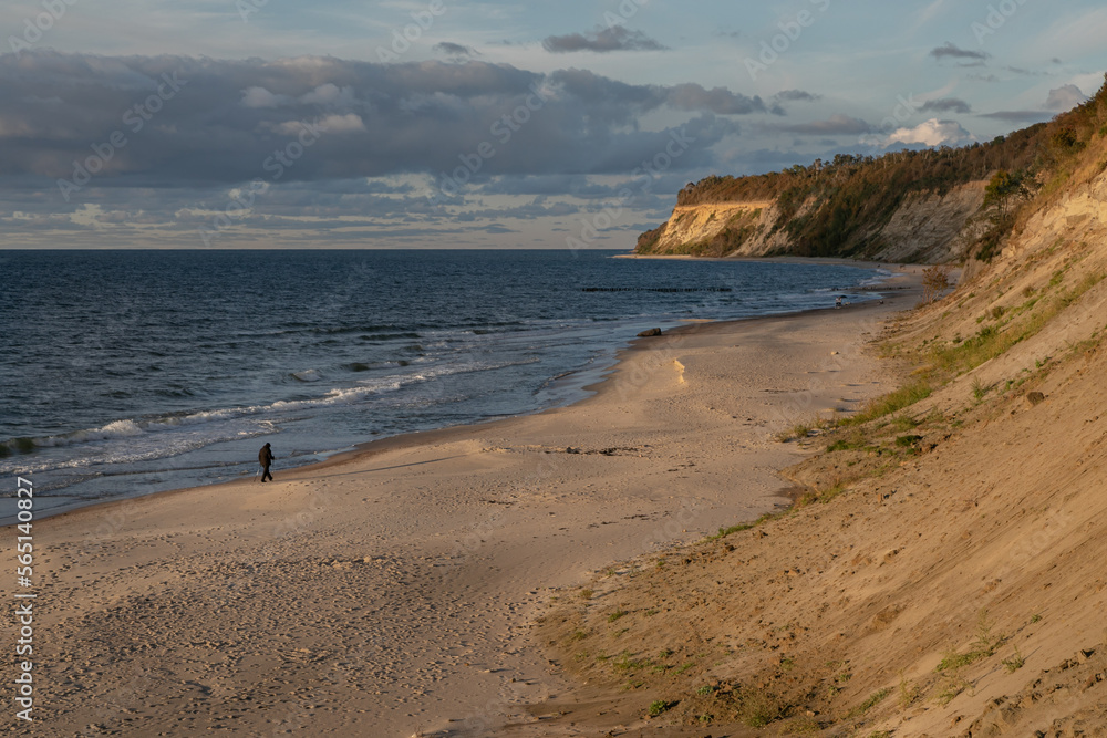 An elderly woman is engaged in Nordic walking along the Baltic Sea coast in Northern Europe. High steep cliff, sandy beach. Warm autumn day, yellow colors of golden autumn. An elderly woman is engaged in Nordic walking along the Baltic Sea coast in Northern Europe. High steep cliff, sandy beach. Warm autumn day, yellow colors of golden autumn.